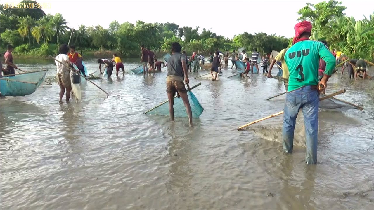 Push Net Fishing Festival In a Village River Side 