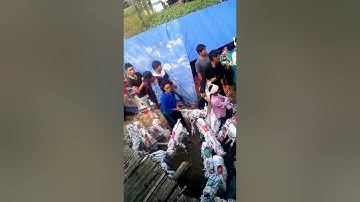 Bản sắc văn hóa dân tộc Nùng.múa ngựa Giấy trong đám ma