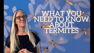 SHOULD YOU TENT YOUR HOUSE FOR TERMITES?