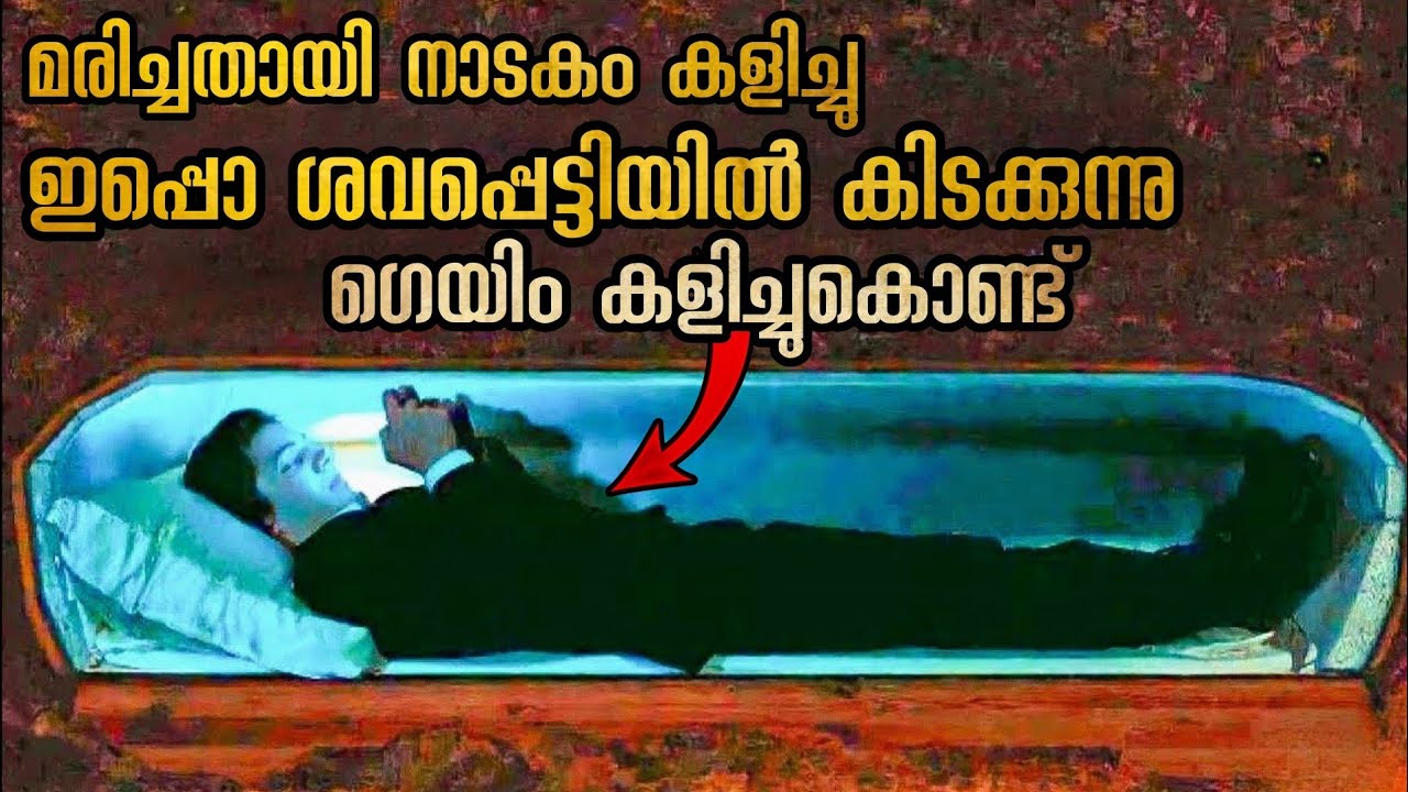 കളിച്ചു കളിച്ചു അവസാനം കളി കാര്യമായി പണി പാളി @malluexplainer185