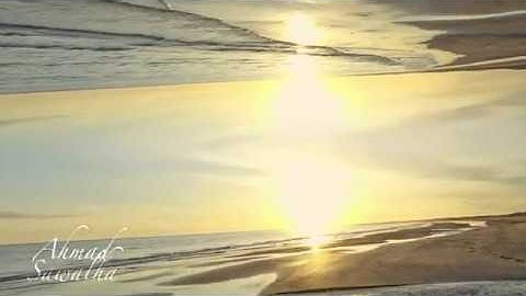 Advanced World Flip Effect In Adobe Premiere Pro (Parallel Effect)