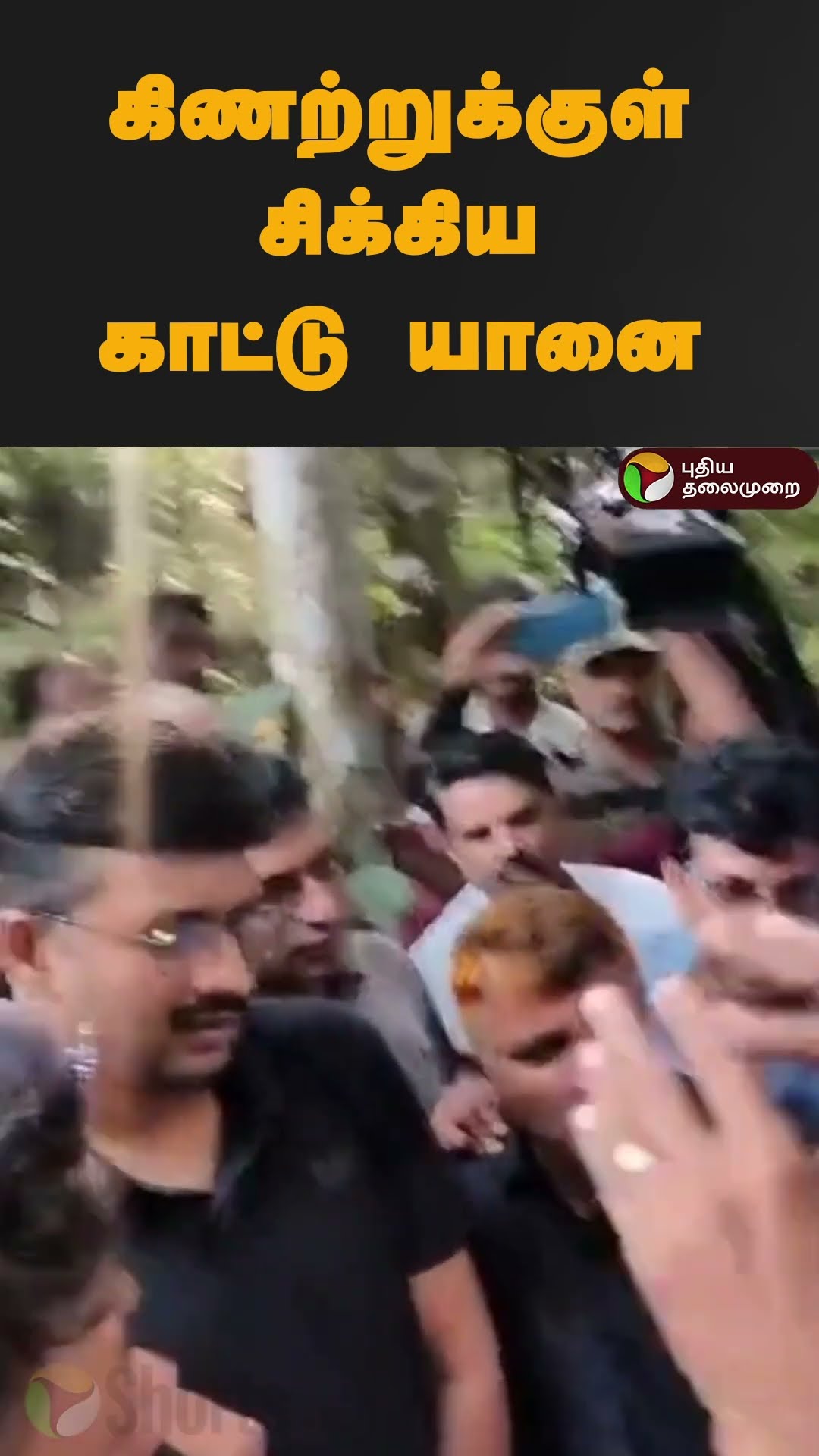 கிணற்றுக்குள் சிக்கிய காட்டு யானை | #shorts | #kerala | #elephant