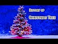 History of Christmas Tree - The History