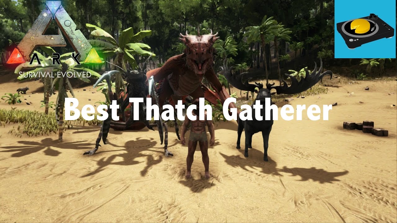 Ark Insight! -- Best Thatch Gatherer! - YouTube