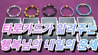 타로카드가 알려주는 행복님의 내일운세🌻❤️🌻