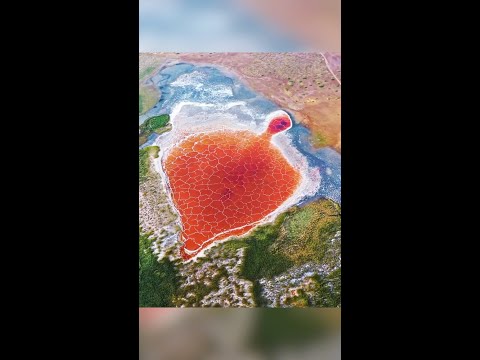 Amazing colors of salt lakes turn desert in north china into picturesque sight