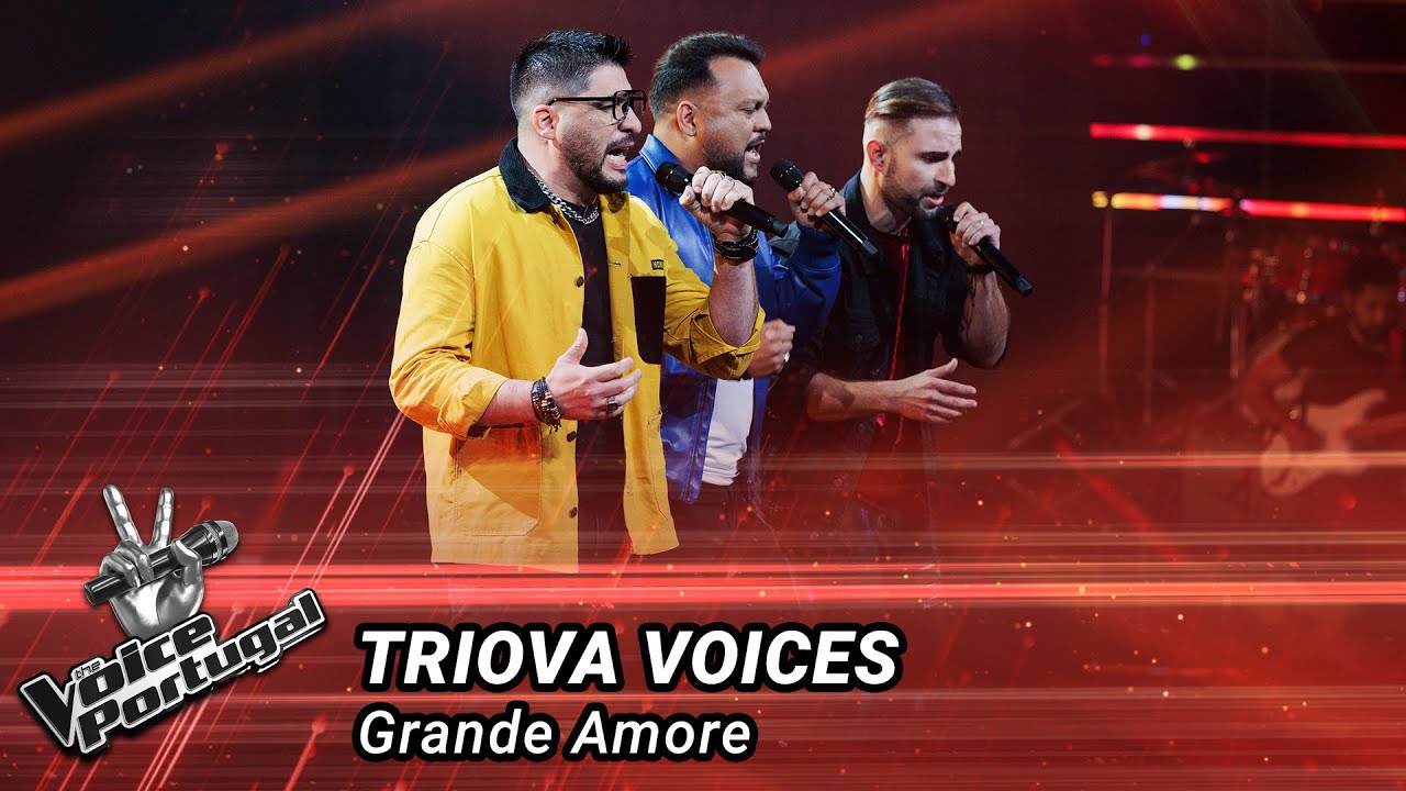 Vicente Augusto - Isn´t She Lovely, Blind Audition