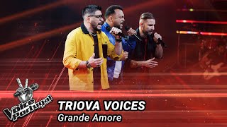 Triova Voices -