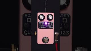 Quadrata Fuzz Deluxe by Ivy Pedals #Guitar #PedalDemo [2/3] #effectspedals #guitarpedals #fuzz #pink