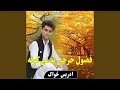 فضول خرچي به مې کوله