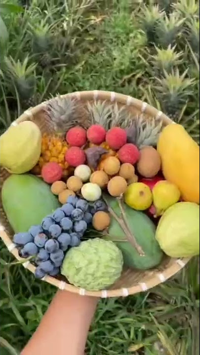 panen buah buahan segar