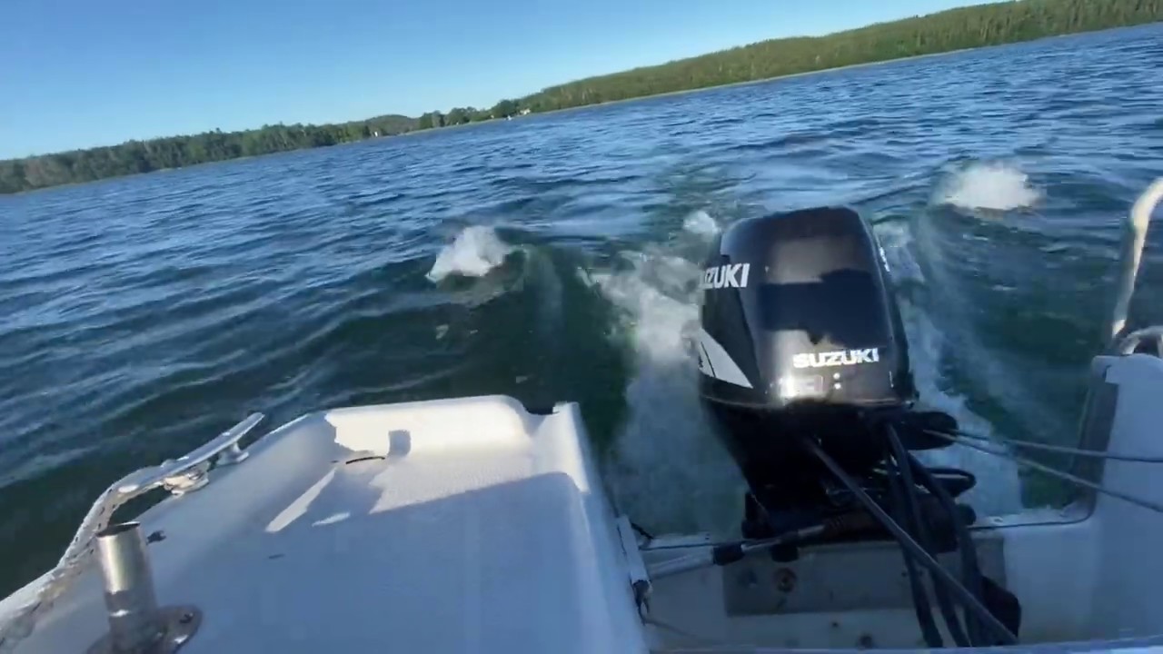 Suzuki 40 four stroke / Ryds 495GT ! Awesome