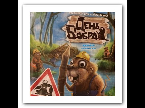 Видео: Играем в настольную игру День Бобра (Dam it!)