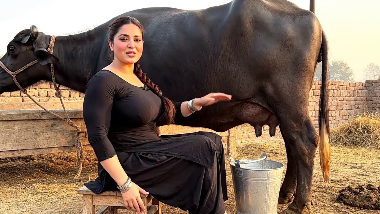 Alina ki Subah: Khet, Bachay aur Mazedar Chicken Salan 🌾🍗