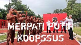 Merpati Putih Koopssus Balik Dua