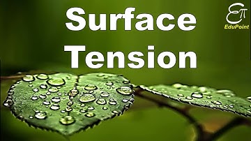 🔴 Surface Tension || for Class 11 in HINDI