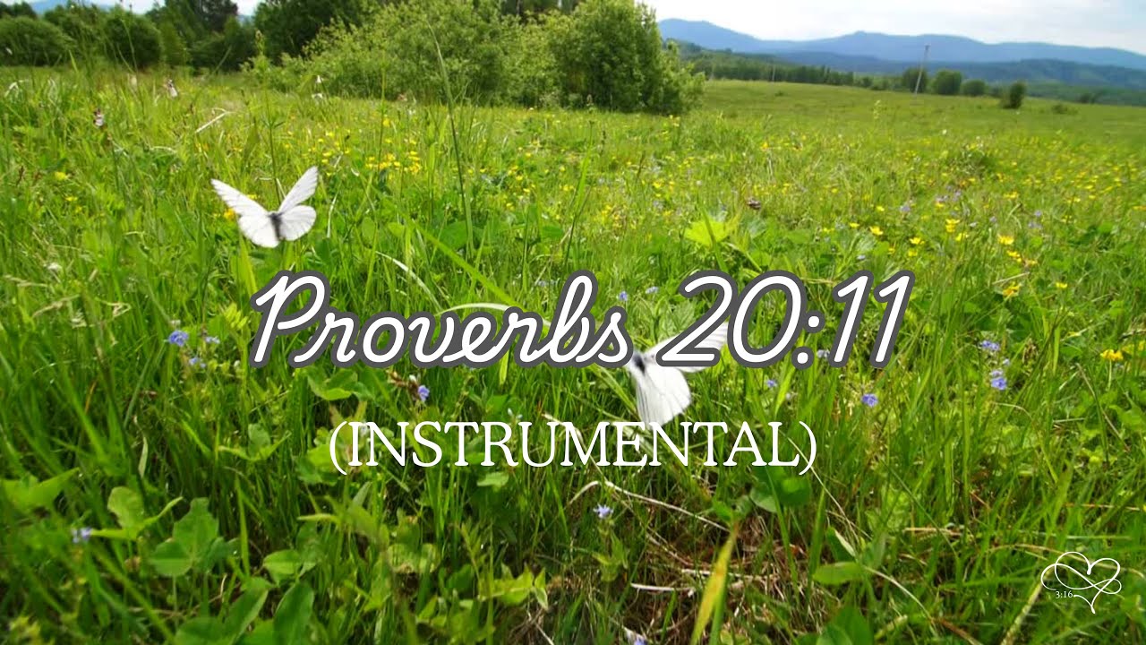 Proverbs 20:11 - Even A Child Is Known - Scripture Song INSTRUMENTAL ...