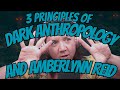 3 principles of dark anthropology as they apply to amberlynn reid