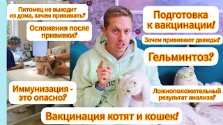 Вакцинация котят и кошек! Подготовка и осложнения после прививки. Гельминтоз? Какие вакцины выбрать? by DEBORKADER 2,931 views 1 year ago 25 minutes