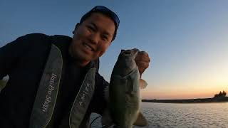 The Most Underrated Bass Topwater Lure