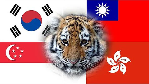 Four Asian Tigers Explained | Taiwan Explained, Nov. 7, 2019 | Taiwan Insider on RTI - DayDayNews