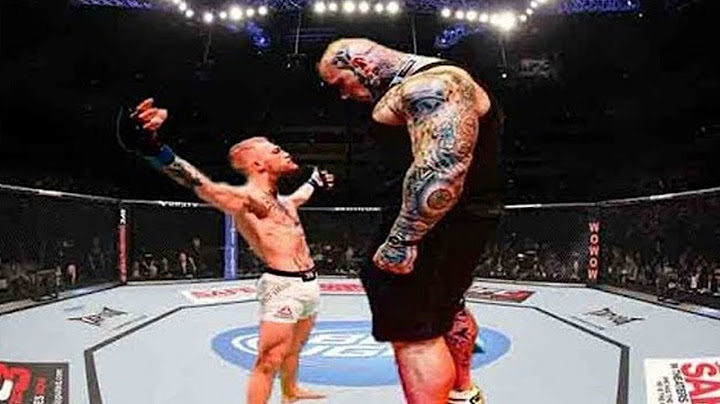 10 Luchadores de MMA Más Grandes de la Historia