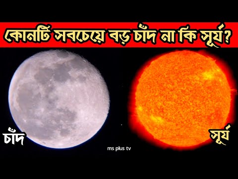 ভিডিও: চিনি বিট এবং চাদের মধ্যে পার্থক্য কী