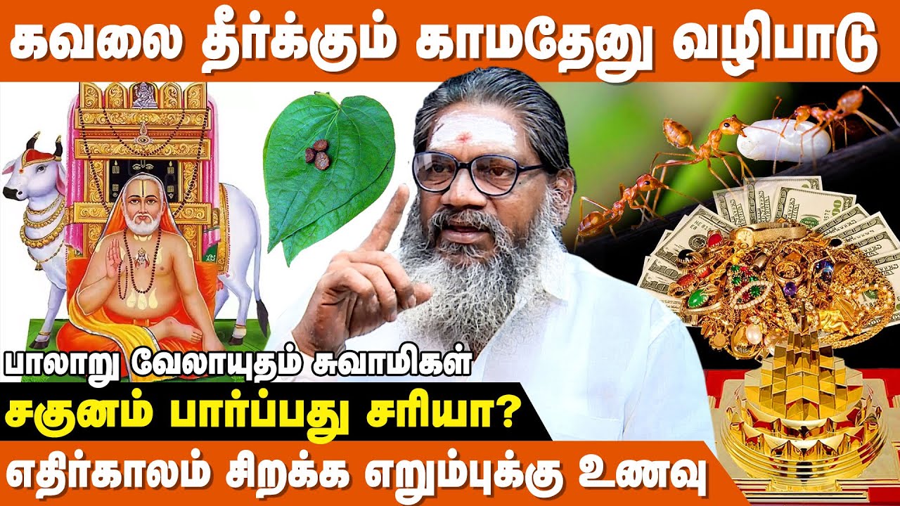சிறப்பான வாழ்க்கைக்கு ஸ்ரீ சக்கர வழிபாடு - Palaru Swamigal Astrologer | Ninaitha Kariyam Vetri Pera