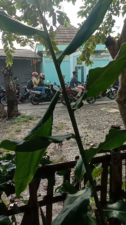 *SURAT UNTUK KEKASIH* TOMMY J PISA. (,MUSIC VEDIO)