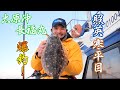 【釣りバカ】爆釣！？重さ3kgの寒ビラメを狙う！