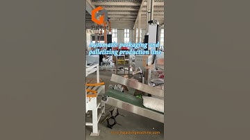 Automatic packaging and palletizing production line