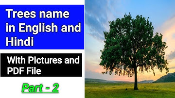 Tree Names In Hindi & English | पेड़ पौधों के नाम | Plants Name | Different kind of Tree and Plant