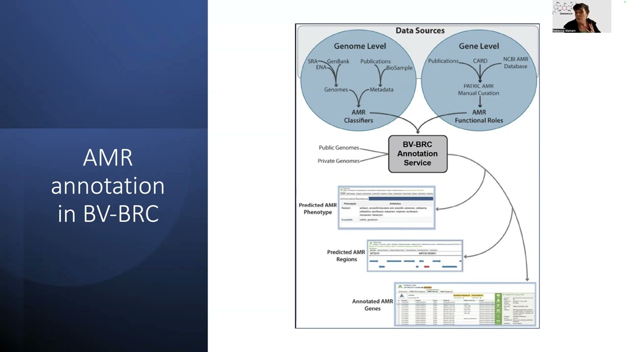 Introduction to the Annotation service