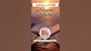 الآية (172)من سورة البقرة//القارئ الشيخ علي بن عبد الرحمن الحذيفي.