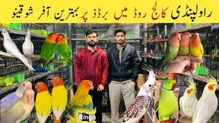 College Road Birds Market Rawalpindi Lovebirds, Tails, Sun Conure Or Java Par Offer
