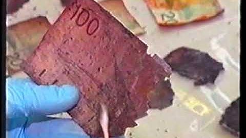 Document Examination at the Centre of Forensic Sciences (Toronto), 2002