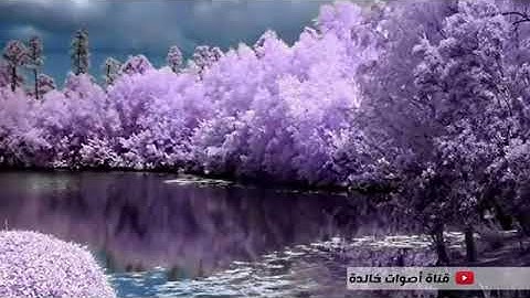 تلاوة نادرة بصوت جميل