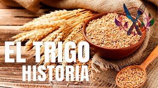 EL TRIGO , HISTORIA