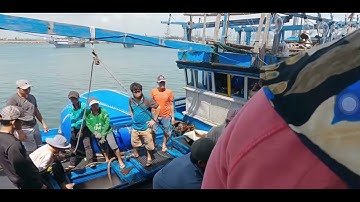 Ghe Đánh Bắt Cá ngừ đại dương Phú Yên cập bến