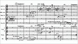 Video thumbnail of "Arnold Schoenberg - 5 Orchestral Pieces Op. 16 (1909)"