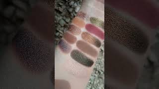 Tammy Tanuka Томная Ореховая Жаба и Небеснокрылая Амбарная Сова #tammytanuka #swatches #eyeshadow