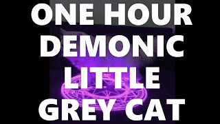 demonic little grey cat theme song - one hour