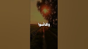 تلاوات الصباح قران كريم بصوت حلو #قران_كريم #المصحف #اكسبلور #الرحمن #القزابري #دويتو #duet #لايك
