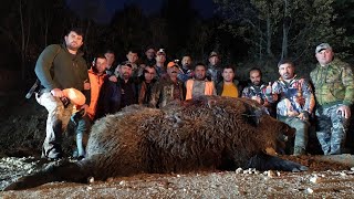 BEST WILD BOAR HUNTS - EN İYİ DOMUZ AVLARI