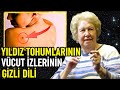 7 Yıldız Tohumu Vücut İzinin Gizemini Araştırmak - Dolores Cannon Türkçe