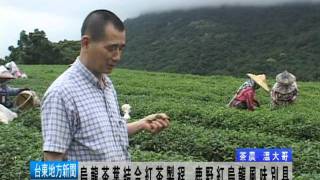 110526烏龍茶結合紅茶製程鹿野紅烏龍風味別具.mpg