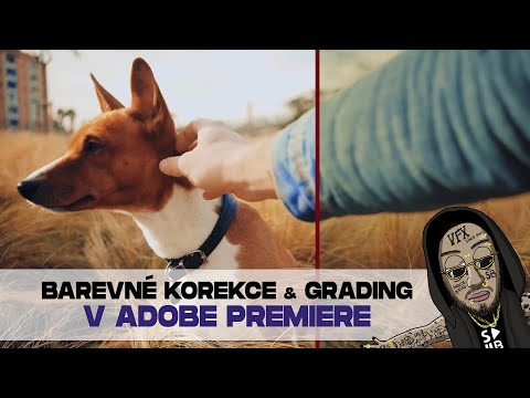 Barevné korekce & Grading v Adobe Premiere