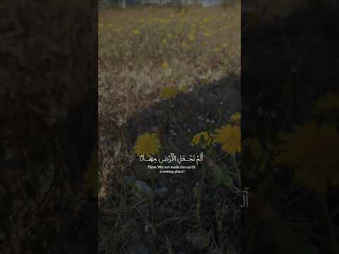 الم نجعل الأرض مهادا والجبال أوتاداوخلقناكم أزواجا وجعلنا نومكم سباتا وجعلنا الليل قران كريم