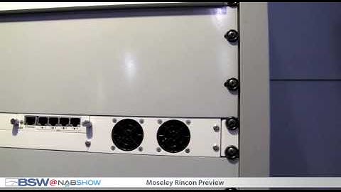 ARCHIVE: BSW NAB 2010 Moseley Rincon