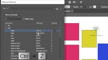 How to fix Undo (Ctrl+z) not working on illustrator